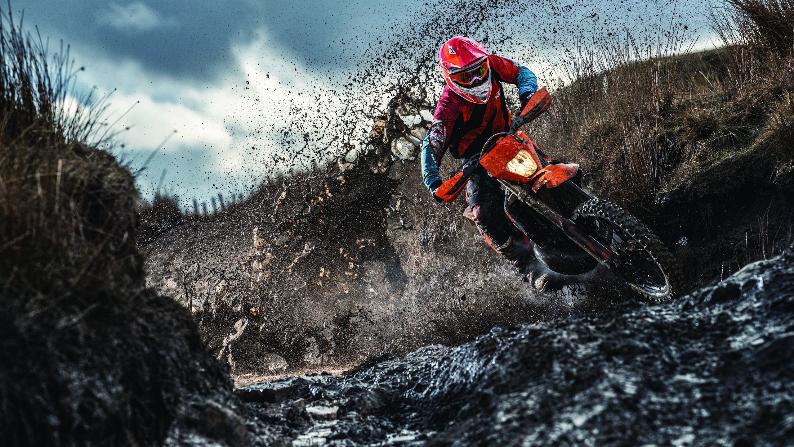 美网转会风云：利雅得新月盯上锋线强援，伊布或成交易筹码